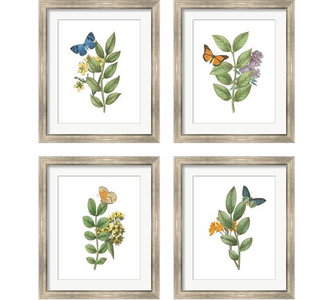Greenery Butterflies 4 Piece Framed Art Print Set by Wild Apple Portfolio