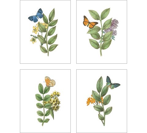 Greenery Butterflies 4 Piece Art Print Set by Wild Apple Portfolio