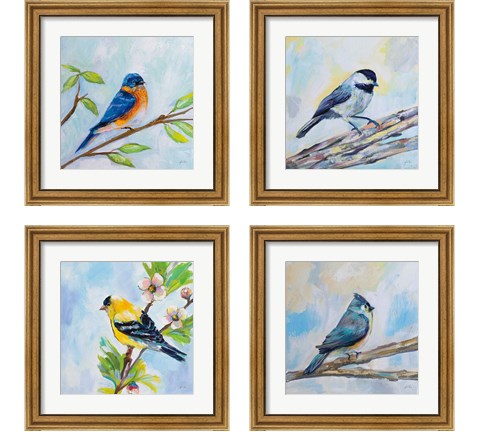 Birds on Blue 4 Piece Framed Art Print Set by Jeanette Vertentes