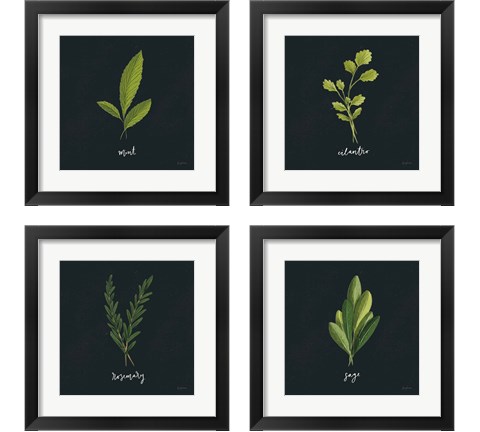 Herbs 4 Piece Framed Art Print Set by Becky Thorns