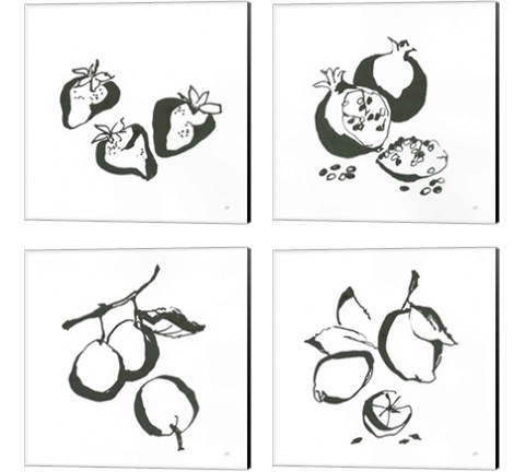 Black & White Fruit 4 Piece Canvas Print Set by Chris Paschke