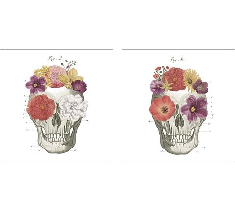 Floral Skull 2 Piece Art Print Set by Wild Apple Portfolio