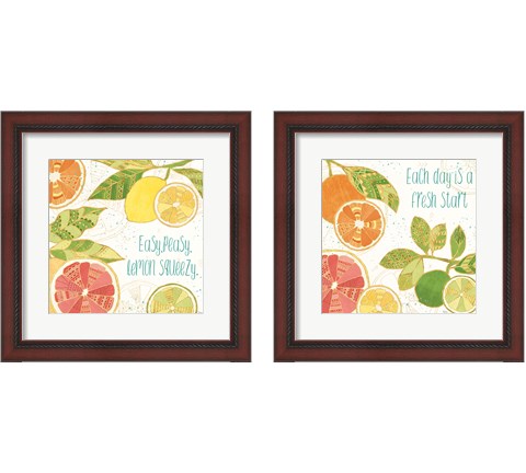 Citrus Splash 2 Piece Framed Art Print Set by Veronique Charron