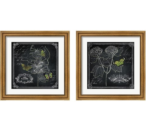 Chalkboard Botanical 2 Piece Framed Art Print Set by Katie Pertiet