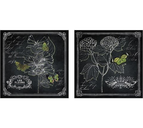 Chalkboard Botanical 2 Piece Art Print Set by Katie Pertiet