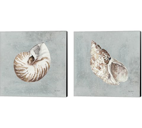 Sand and Seashells  2 Piece Canvas Print Set by Lisa Audit