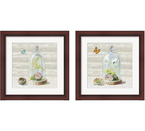 Succulent Garden 2 Piece Framed Art Print Set by Danhui Nai