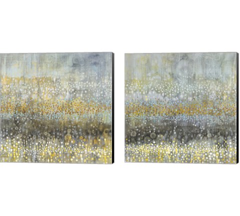 Rain Abstract 2 Piece Canvas Print Set by Danhui Nai