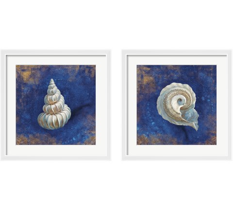 Treasures from the Sea Indigo 2 Piece Framed Art Print Set by Danhui Nai