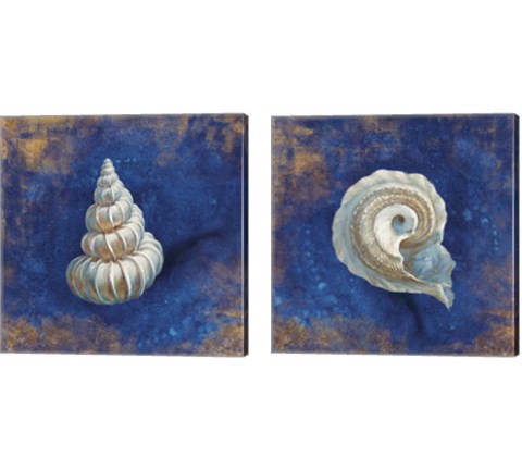 Treasures from the Sea Indigo 2 Piece Canvas Print Set by Danhui Nai