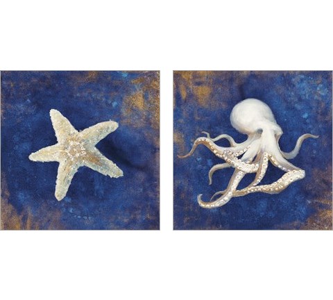 Treasures from the Sea Indigo 2 Piece Art Print Set by Danhui Nai