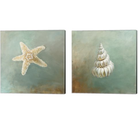Treasures from the Sea 2 Piece Canvas Print Set by Danhui Nai