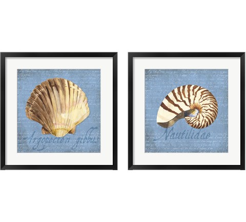 Oceanum Shells Blue 2 Piece Framed Art Print Set by Tara Reed