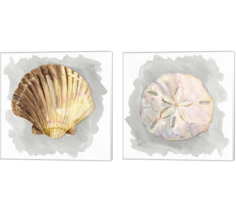 Shells on Grey 2 Piece Canvas Print Set by Tara Reed
