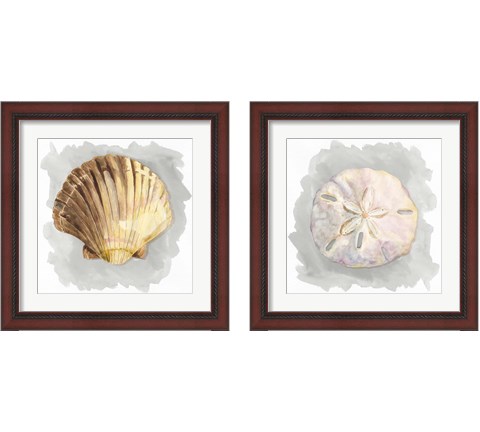 Shells on Grey 2 Piece Framed Art Print Set by Tara Reed