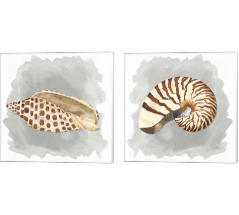 Shells on Grey 2 Piece Canvas Print Set by Tara Reed