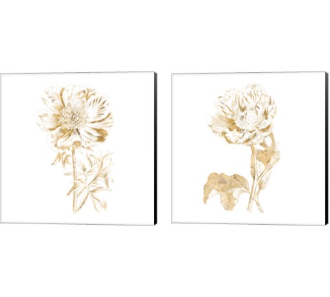 Gilded Botanical 2 Piece Canvas Print Set by Wild Apple Portfolio