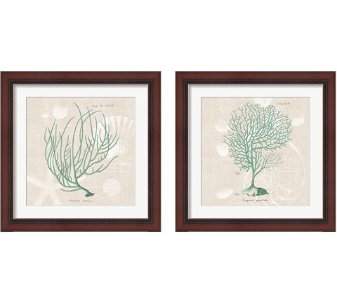 Gorgonia Granulata on Linen Sea Foam 2 Piece Framed Art Print Set by Wild Apple Portfolio