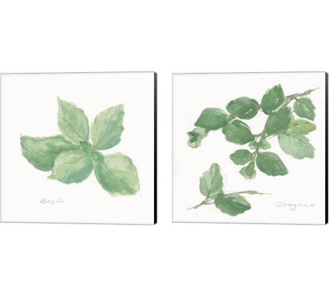 Herbs on White 2 Piece Canvas Print Set by Chris Paschke