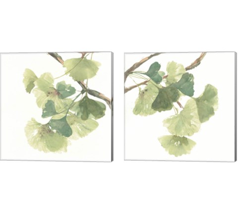 Gingko Leaves on White 2 Piece Canvas Print Set by Chris Paschke