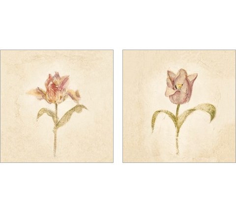 Tulip on White 2 Piece Art Print Set by Cheri Blum