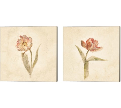 Tulip on White 2 Piece Canvas Print Set by Cheri Blum
