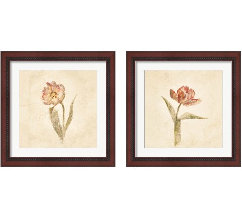 Tulip on White 2 Piece Framed Art Print Set by Cheri Blum