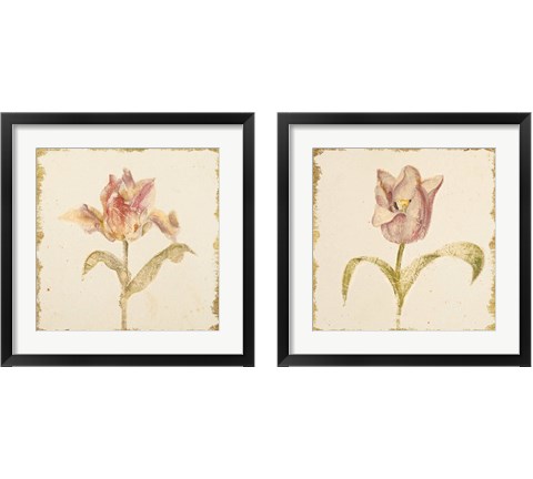 Vintage Tulip 2 Piece Framed Art Print Set by Cheri Blum