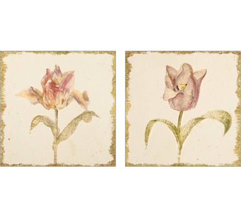 Vintage Tulip 2 Piece Art Print Set by Cheri Blum