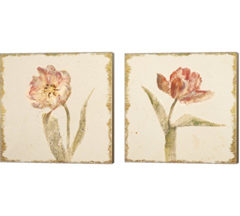 Vintage Tulip 2 Piece Canvas Print Set by Cheri Blum