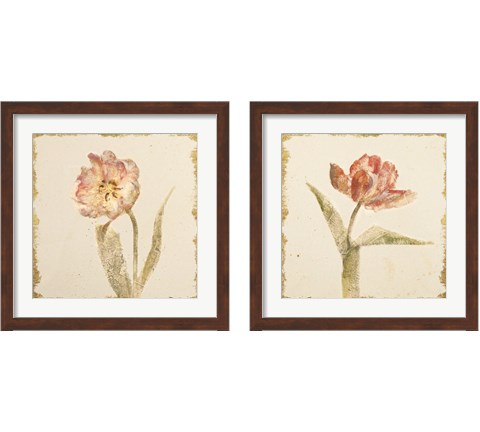 Vintage Tulip 2 Piece Framed Art Print Set by Cheri Blum