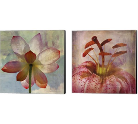 Lovely Lily 2 Piece Canvas Print Set by Posters International Studio