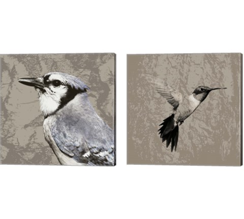 Feathered  2 Piece Canvas Print Set by Posters International Studio
