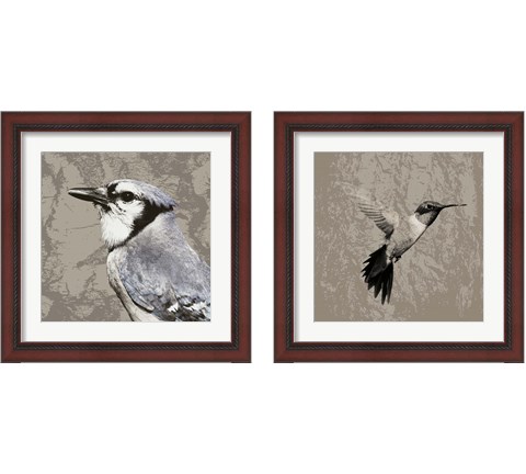 Feathered  2 Piece Framed Art Print Set by Posters International Studio