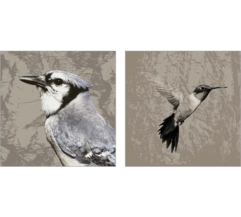 Feathered  2 Piece Art Print Set by Posters International Studio