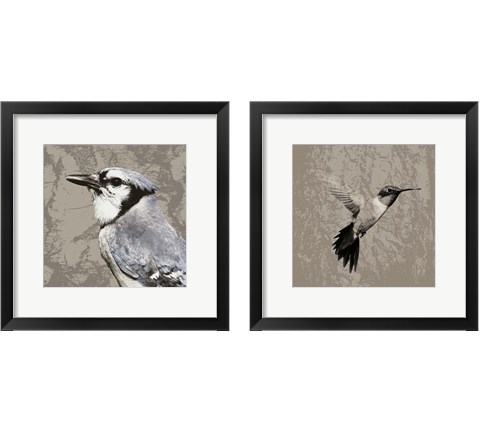 Feathered  2 Piece Framed Art Print Set by Posters International Studio
