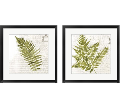 Fern 2 Piece Framed Art Print Set by Asia Jensen