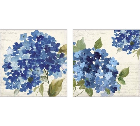 Hampton Hydrangea 2 Piece Art Print Set by Asia Jensen