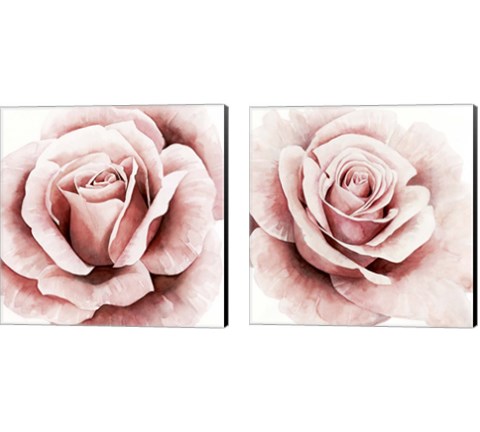 Pink Rose 2 Piece Canvas Print Set by Grace Popp