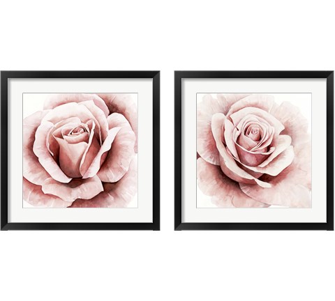 Pink Rose 2 Piece Framed Art Print Set by Grace Popp