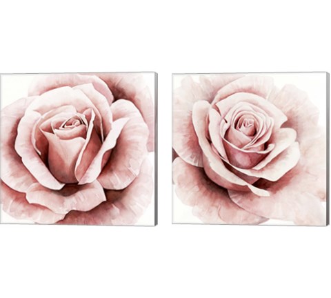 Pink Rose 2 Piece Canvas Print Set by Grace Popp