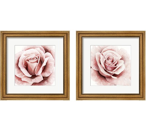Pink Rose 2 Piece Framed Art Print Set by Grace Popp
