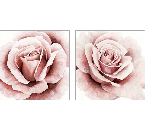Pink Rose 2 Piece Art Print Set by Grace Popp