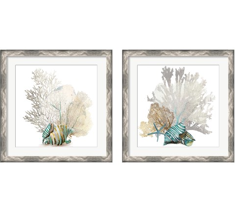 Coral 2 Piece Framed Art Print Set by Aimee Wilson