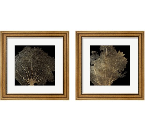Honeycomb Coral 2 Piece Framed Art Print Set by Aimee Wilson
