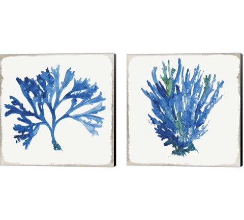 Blue and Green Coral  2 Piece Canvas Print Set by Aimee Wilson