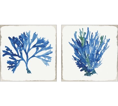 Blue and Green Coral  2 Piece Art Print Set by Aimee Wilson