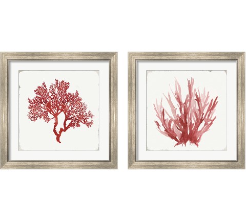 Red Coral 2 Piece Framed Art Print Set by Aimee Wilson