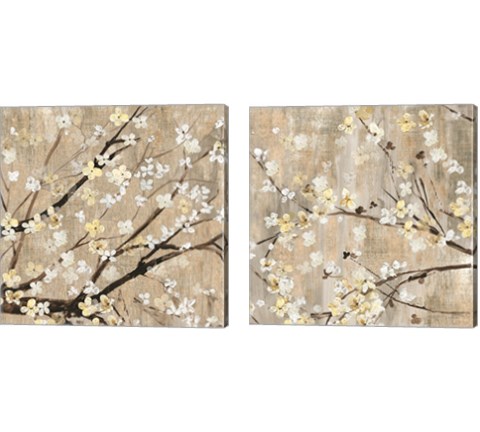Pearls in Bloom 2 Piece Canvas Print Set by Asia Jensen