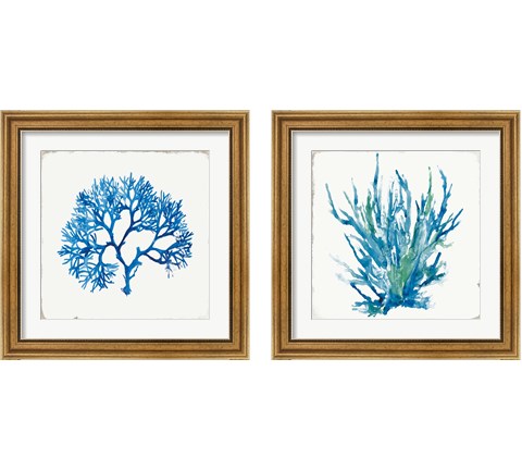 Blue Coral 2 Piece Framed Art Print Set by Aimee Wilson